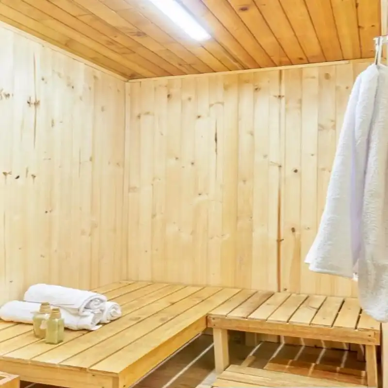 SAUNA - Imagen 1